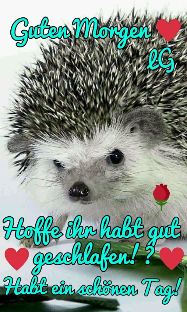Bilder Von Guten Freiheit Kostenlos Imagez