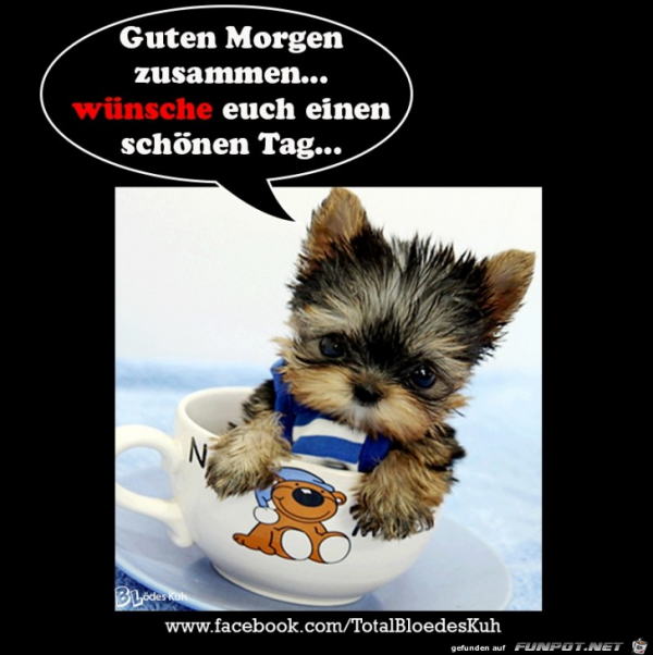 Lustige Guten Morgen Bilder Fur Whatsapp Guten Morgen Bilder