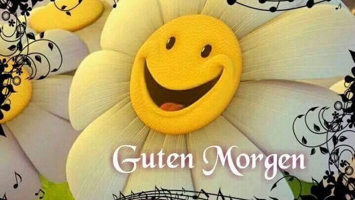 Bilder Von Guten Morgen Kusschen Kostenlos Imagez
