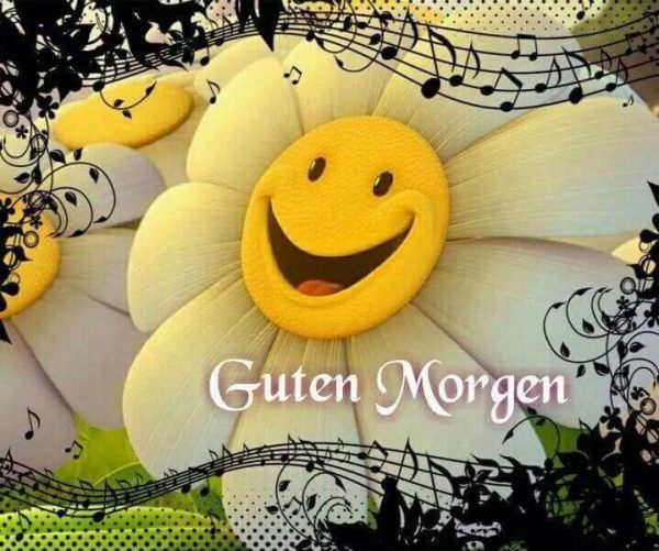 Bilder Von Guten Küsschen Kostenlos Imagez