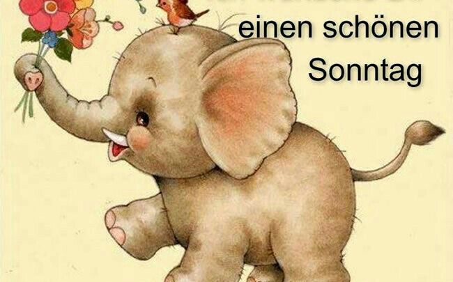 Bilder Von Guten Morgen Rechtschreibung Kostenlos Imagez