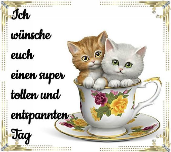 Witzige Guten Morgen Spruche Mit Bilder Bilder Und Spruche Fur