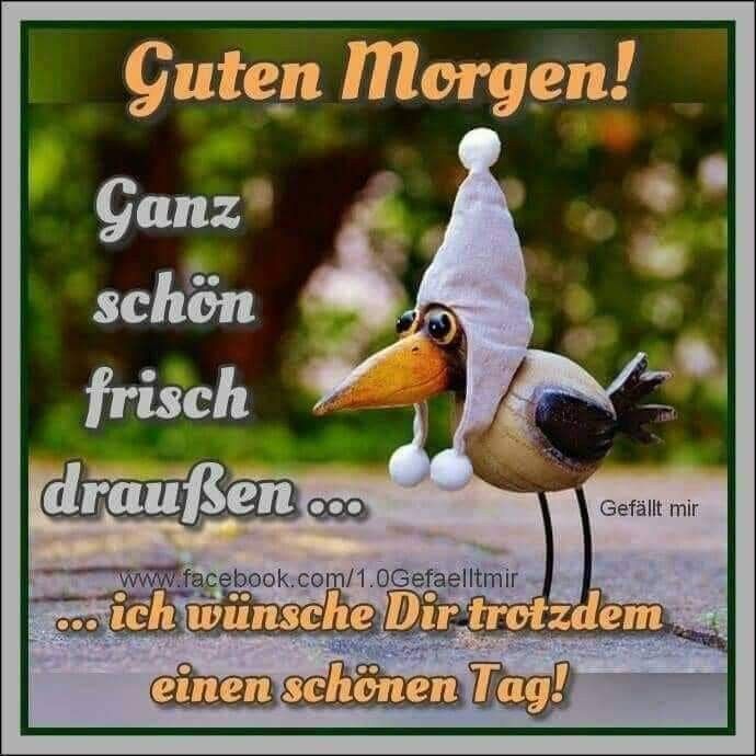 Bilder Von Wunderschönen Guten Spruch Kostenlos Imagez