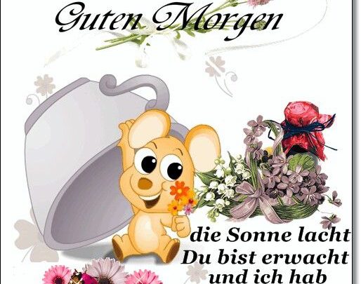 Blöde Guten Sprüche Imagez