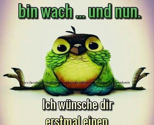 Fröhliche Guten Morgen Bilder - Imagez
