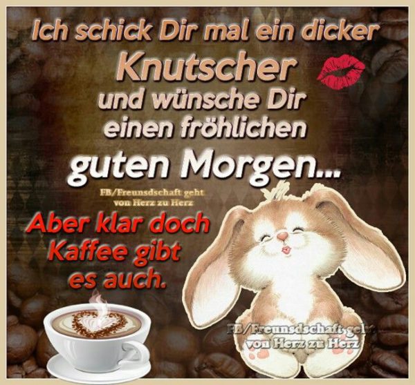 bilder von blöde guten sprüche kostenlos Imagez