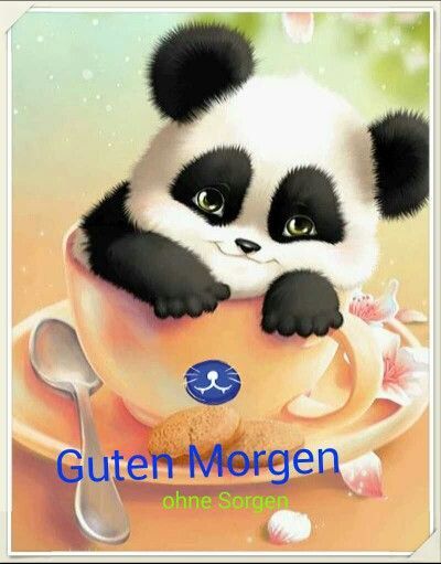 Bilder Von Guten Morgen Bilder Whatsapp Kostenlos Imagez