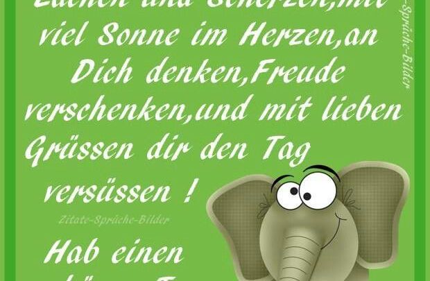 Bilder Von Lustige Bilder Zu Guten Morgen Kostenlos Imagez