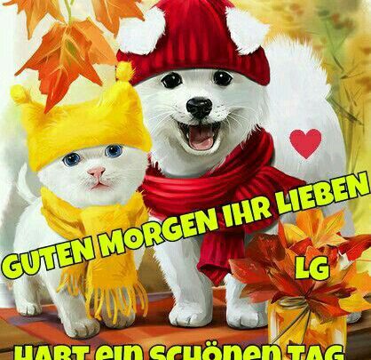 Bilder Von Spruch Guter Kostenlos Imagez