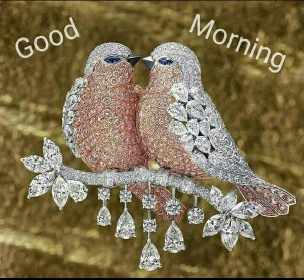 Birds morning greeting images Greetings Images - Birds morning greeting images Greetings Images