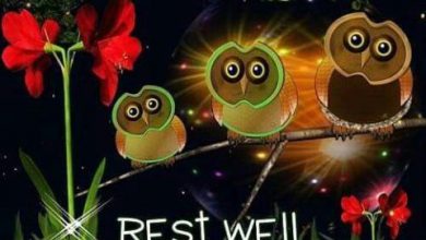 Good night wishes sms image 390x220 - Good night wishes sms image