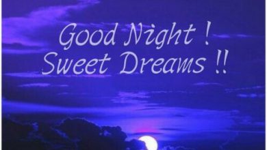 New good night wishes image 390x220 - New good night wishes image