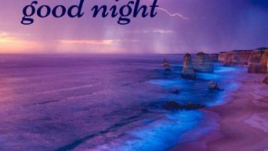 Wish good night sweet dreams image 390x220 - Wish good night sweet dreams image