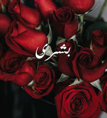 صور اسم بشرى صور رومانسية بالورد Imagez