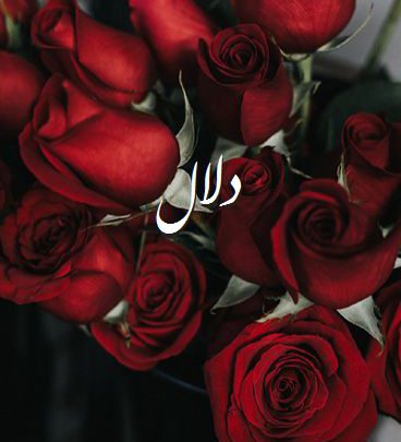 صور اسم دلال , صور رومانسية مع ورد , صور اسم دلال