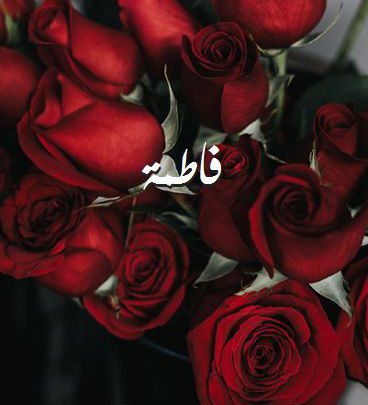 صور اسم فاطمة صور رومانسية بالورد Imagez
