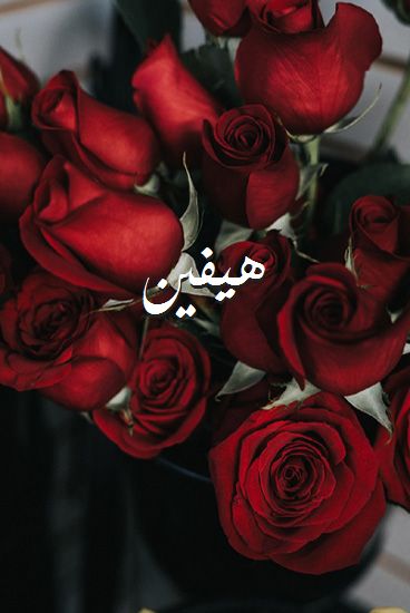 صور اسم الجنة , صور رومانسية مع ورد , صور اسم الجنة