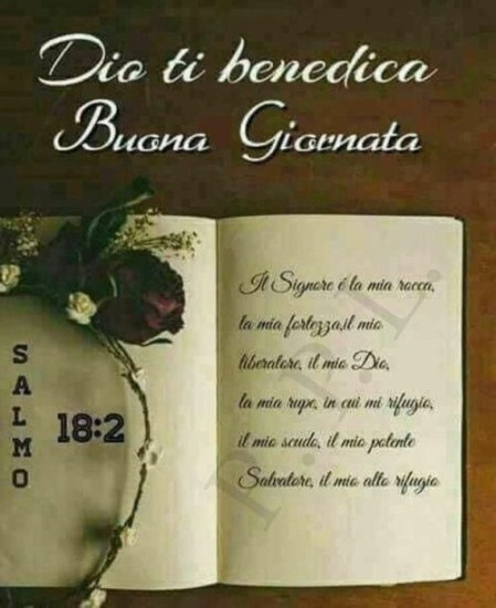 Buongiorno Auguri Immagini Imagez