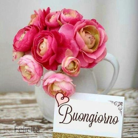 Buongiorno Romantico Immagini Imagez