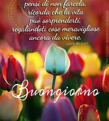 Frasi Belle Di Buongiorno Per Lei Immagini Imagez