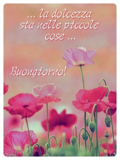 Frasi Del Buon Pomeriggio Immagini Imagez