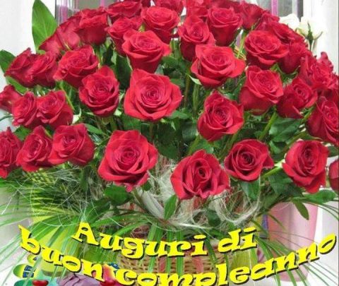 Frasi Di Auguri Di Compleanno Alla Nuora Immagini Imagez