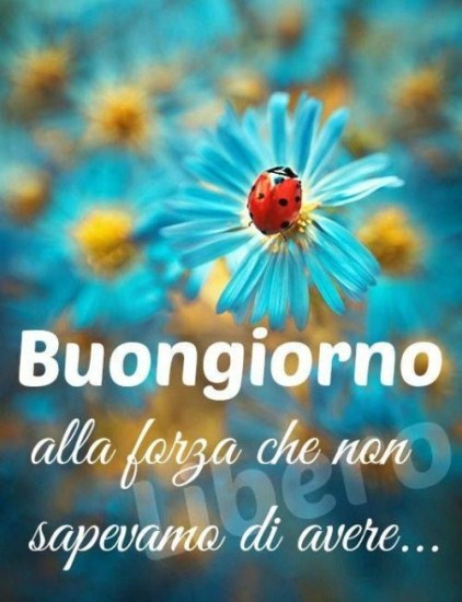 Frasi Di Buona Giornata Amore Immagini Imagez