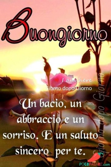 Frasi Dolci Buongiorno Per Lei Immagini Imagez