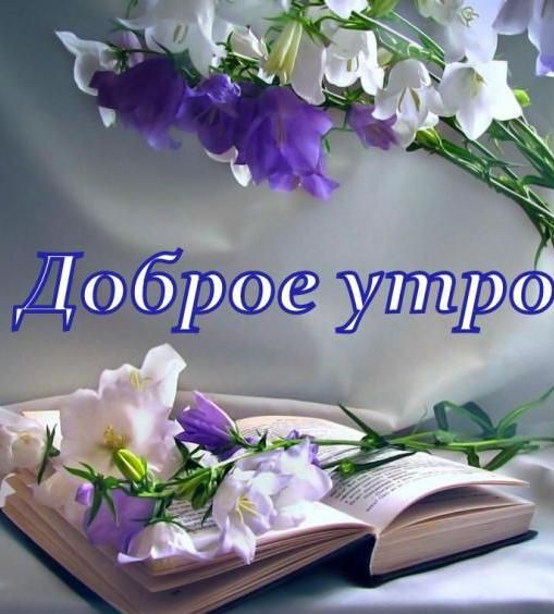Krasivaya Otkrytka S Dobrym Utrom Kofe I Cvety Dlya Dobrogo Utra Bodrosti I Pozitiva Nu I Uspeha V Delah Pust Etot Den Nepremenno V Dobryh Prohodit Trudah
