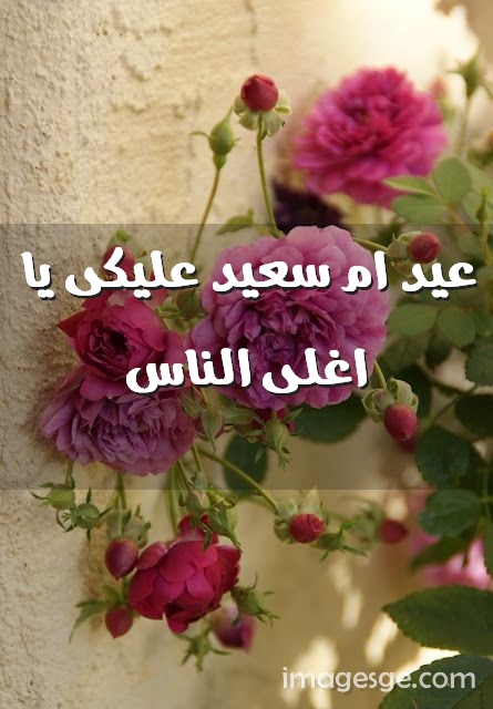 عيد ام سعيد عليكى يا اغلى الناس Imagez