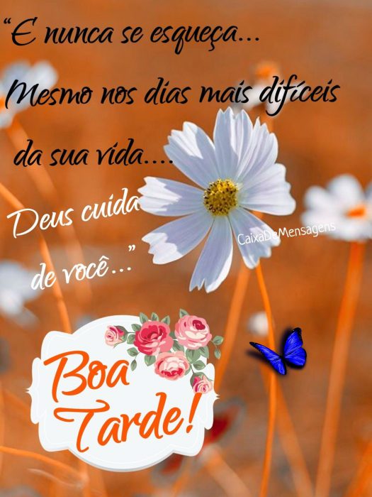 Featured image of post Frases De Boa Tarde Para Algu m Especial Envie lindas mensagens de boa tarde e impressione
