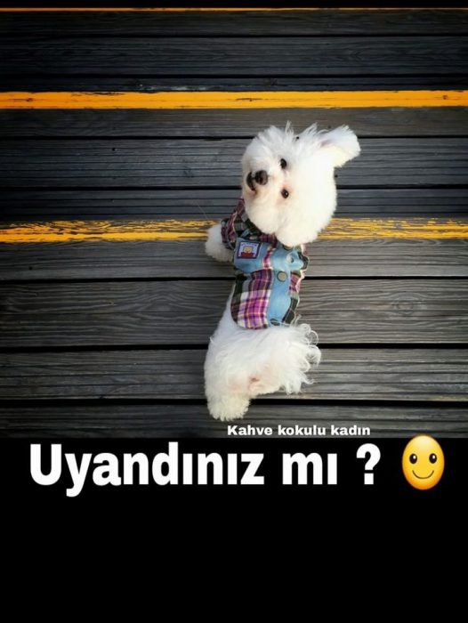Resimli Guzel Sozler Resimlere Dokulmus En Guzel 50 Soz