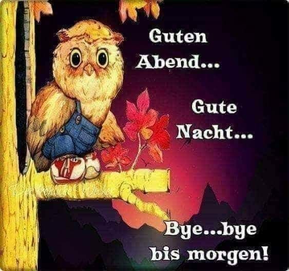 Elchens Bilderwelt Schönen Abend Pin Von Regina Dittmann Auf Regina Gute Nacht Wunsche Gute