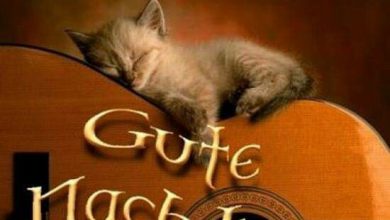 Kostenlos videos whatsapp gute für nacht gute nacht