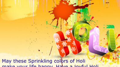 Holi Festival Of Colors History 390x220 - Holi Festival Of Colors History