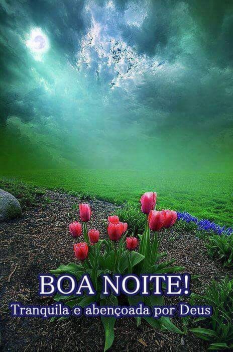 Featured image of post Mensagem Carinhosa De Boa Noite Para Whatsapp Confira as melhores frases de boa noite para relaxar e agradecer pelo dia intenso