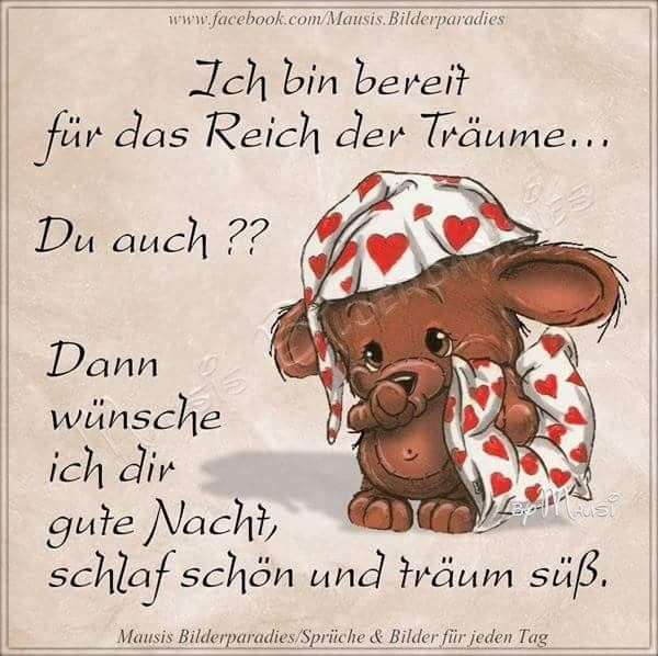 Gute Nacht Schöne Träume Sprüche / Gute Nacht Mein Schatz Ein Paar Worte Fur Die Sussesten