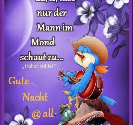 Schöne Träume Sprüche Imagez