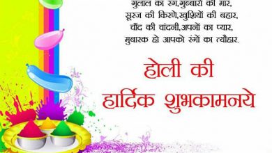 When Is Holi Celebrated In 2019 390x220 - When Is Holi Celebrated In 2019