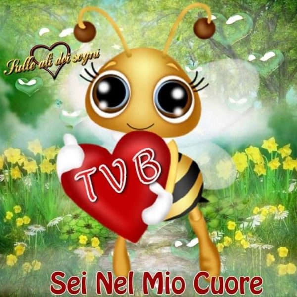 Tvb Amore Mio Immagini Imagez