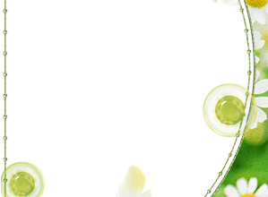 cornice verde camomiles 299x220 - cornice verde camomiles