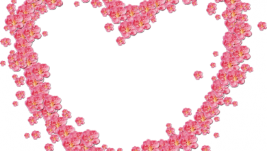 cuore di cornice di rose gialle 390x220 - cuore di cornice di rose gialle