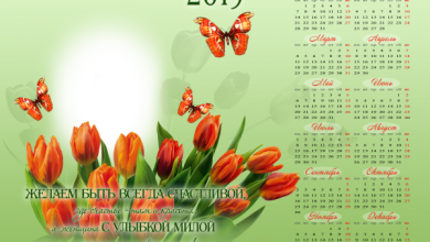 онлайн женский календарь с pozhelaniem 390x220 - фоторамка онлайн женский календарь с pozhelaniem
