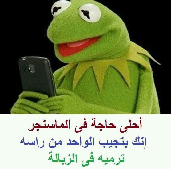 الضفدع كيرميت فيس بوك Imagez