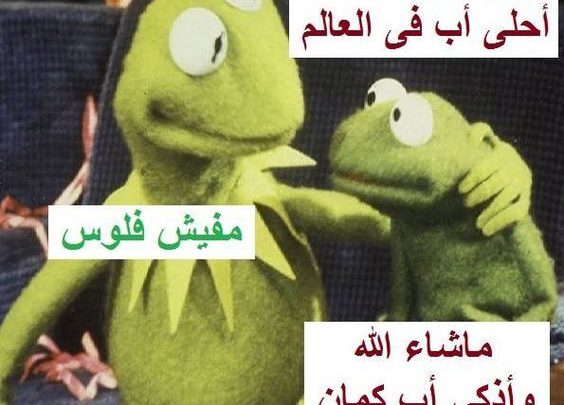الضفدع كيرميت كوميدي Imagez