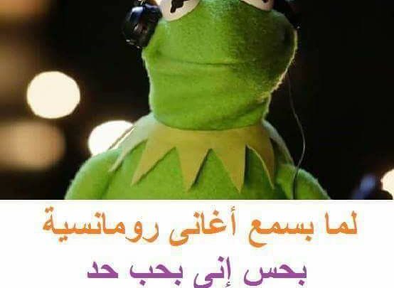 الضفدع كيرميت مضحك Imagez