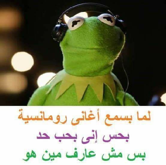 الضفدع كيرميت مضحك Imagez