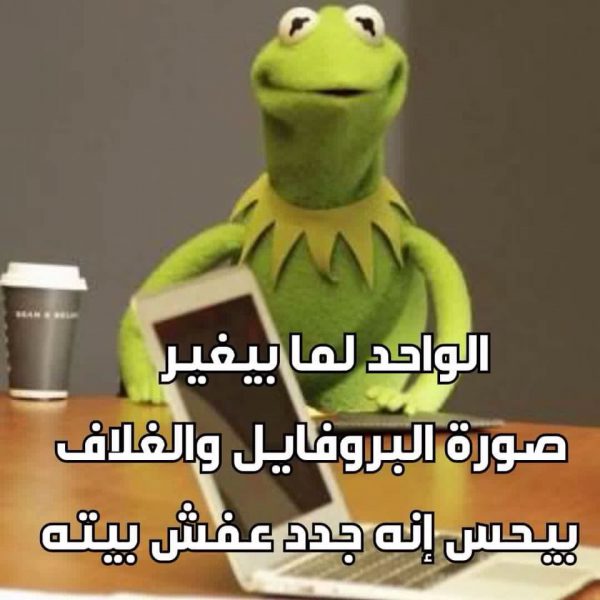 صور الضفدع الاخضر Imagez