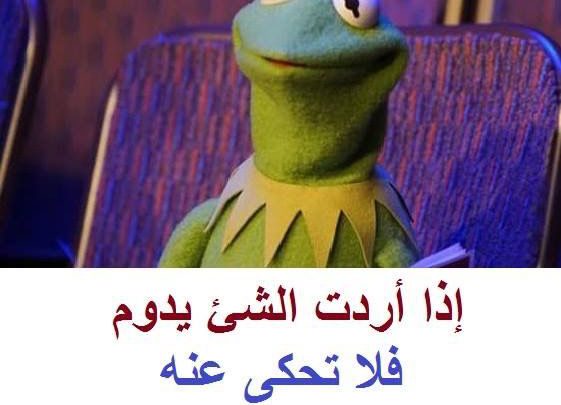 صور ضفادع مضحكه Imagez
