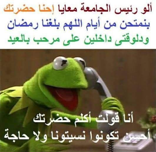 صور ضفدع سوري Imagez